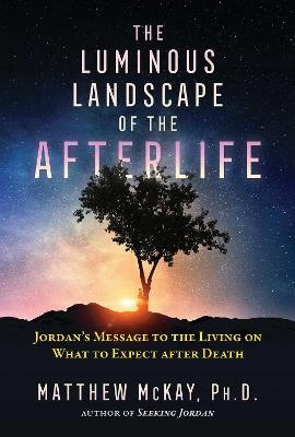 The Luminous Landscape of the Afterlife: Jordan's Message to the Living on What to Expect after Death - Matthew McKay - cover