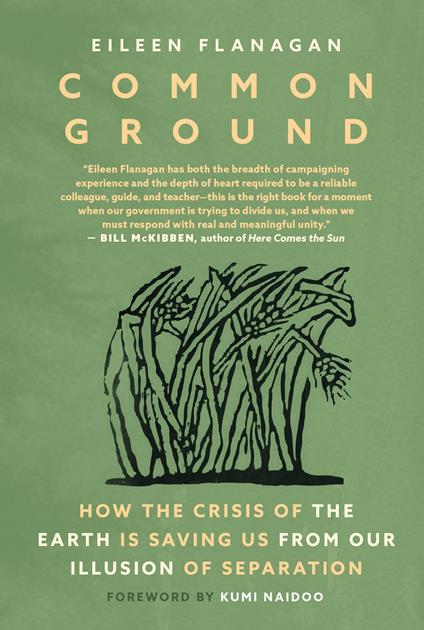Common Ground