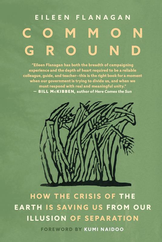 Common Ground