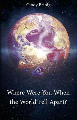 Where Were You When the World Fell Apart? - Cindy Brinig - cover