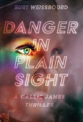 Danger in Plain Sight - Burt Weissbourd - cover