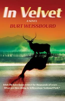 In Velvet: A Novel - Burt Weissbourd - cover