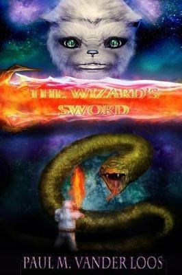 The Wizard's Sword - Paul Michael Vanderloos - cover
