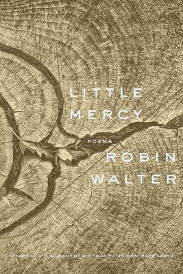 Little Mercy: Poems - Robin Walter - cover
