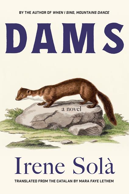 Dams