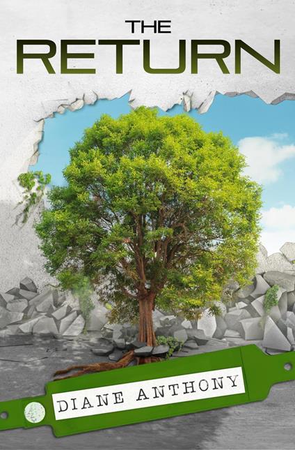 The Return - Diane Anthony - ebook