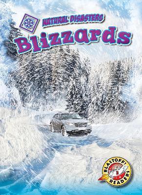 Blizzards - Betsy Rathburn - cover