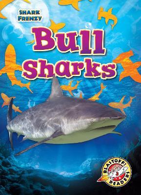 Bull Sharks - Rebecca Pettiford - cover