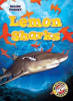Lemon Sharks - Rebecca Pettiford - cover