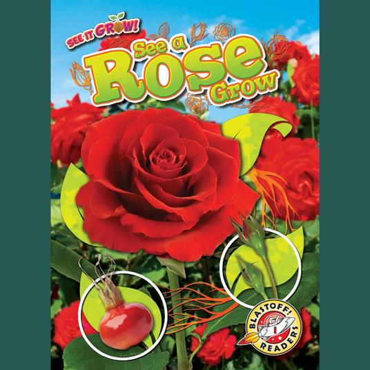 See a Rose Grow