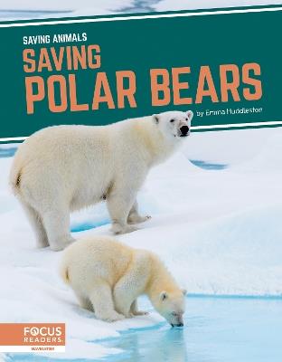 Saving Polar Bears - Emma Huddleston - cover