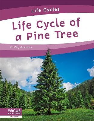 Life Cycles: Life Cycle of a Pine Tree - Meg Gaertner - cover