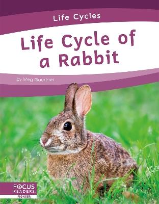 Life Cycles: Life Cycle of a Rabbit - Meg Gaertner - cover