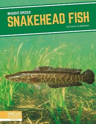 Snakehead Fish - Emma Huddleston - cover