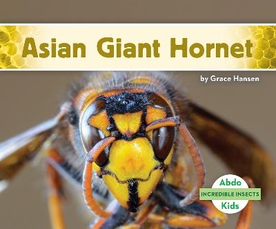 Incredible Insects: Asian Giant Hornet - Grace Hansen - cover