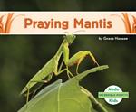 Incredible Insects: Praying Mantis