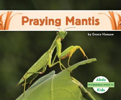 Incredible Insects: Praying Mantis - Grace Hansen - cover