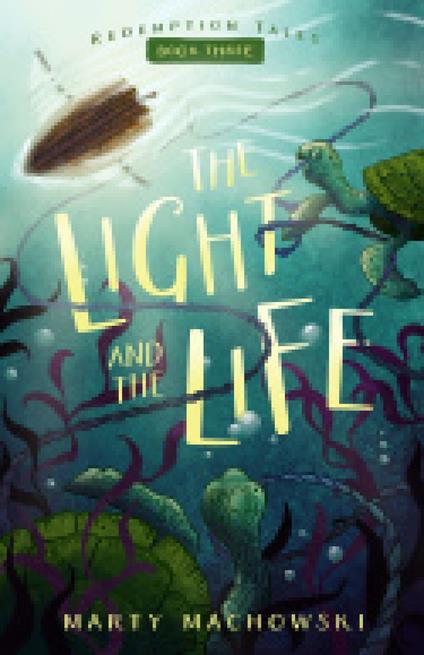 The Light and the Life - Marty Machowski,Blair Files - ebook