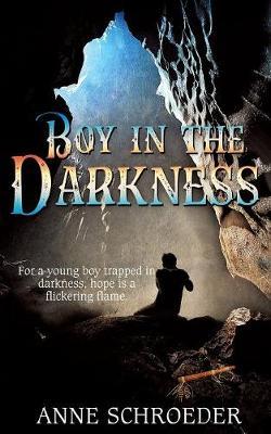Boy In The Darkness - Anne Schroeder - cover