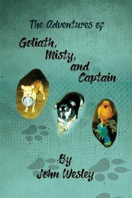 The Adventures of Goliath, Misty, and Captain - John Wesley - cover
