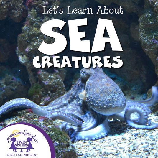 Let's Learn About Sea Creatures