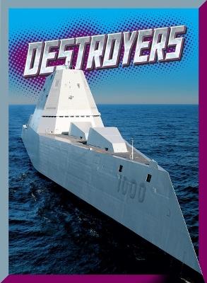 Destroyers - Joe Tischler - cover