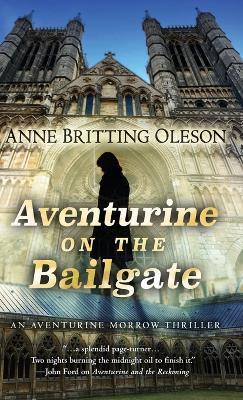 Aventurine on the Bailgate - Anne Britting Oleson - cover