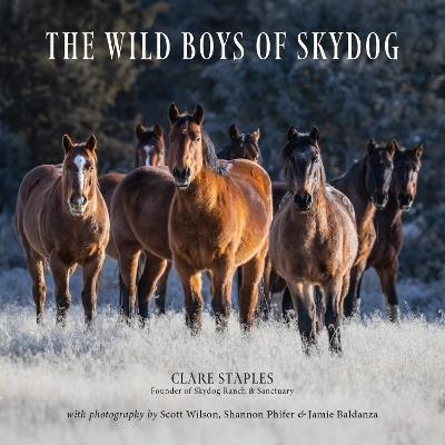The Wild Boys of Skydog - Clare Staples - cover