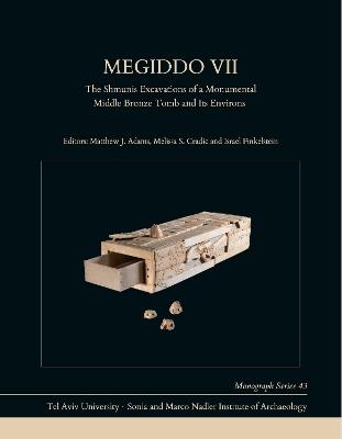 Megiddo VII: The Shmunis Excavations of a Monumental Middle Bronze Tomb and Its Environs - cover