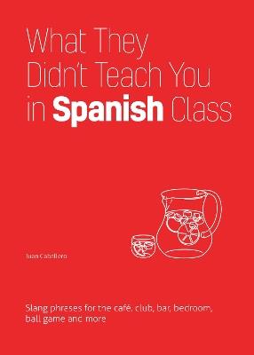 What They Didn't Teach You In Spanish Class: Slang Phrases for the Cafe, Club, Bar, Bedroom, Ball Game and More - Juan Caballero - cover
