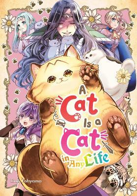 A Cat Is a Cat in Any Life - Ema Toyama - cover