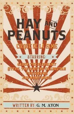 Hay and Peanuts - G M Ayon - cover
