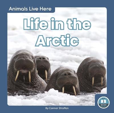 Life in the Arctic - Connor Stratton - cover