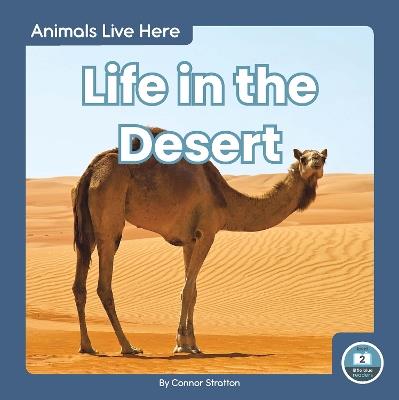 Life in the Desert - Connor Stratton - cover