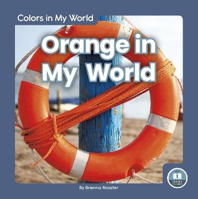 Orange in My World - Brienna Rossiter - cover