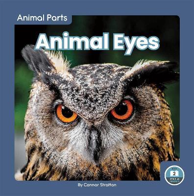 Animal Eyes - Connor Stratton - cover