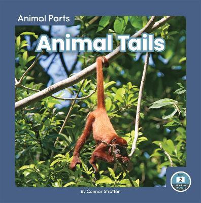 Animal Tails - Connor Stratton - cover