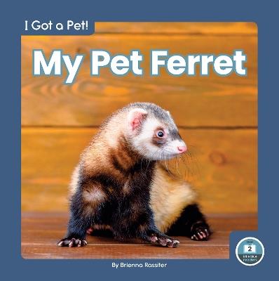My Pet Ferret - Brienna Rossiter - cover