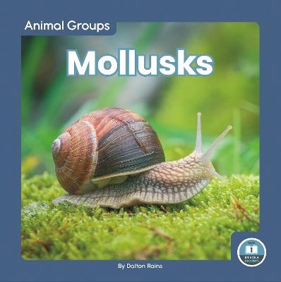 Mollusks - Dalton Rains - cover