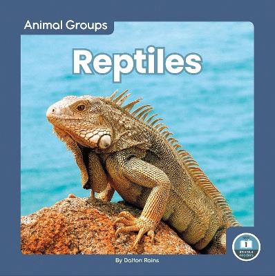 Reptiles - Dalton Rains - cover