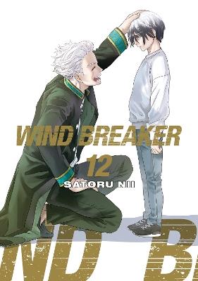WIND BREAKER 12 - Satoru Nii - cover