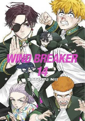 WIND BREAKER 14 - Satoru Nii - cover