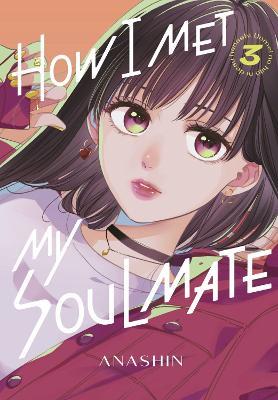 How I Met My Soulmate 3 - Anashin - cover