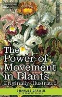 The Power of Movement in Plants: Originally Illustrated - Charles Darwin,Francis Darwin - cover