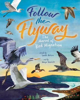 Follow the Flyway: The Marvel of Bird Migration - Sarah Nelson - cover