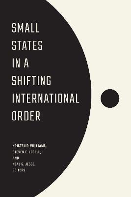 Small States in a Shifting International Order - cover