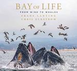 Bay of Life: From Wind to Whales