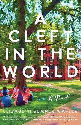 A Cleft in the World: A Novel - Elizabeth Sumner Wafler - cover