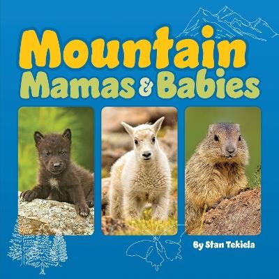 Mountain Mamas and Babies - Stan Tekiela - cover