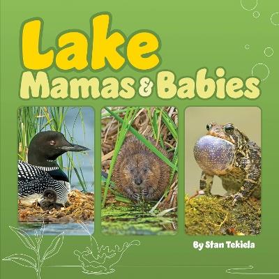 Lake Mamas and Babies - Stan Tekiela - cover